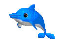 dolphin