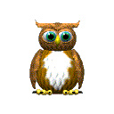 owl